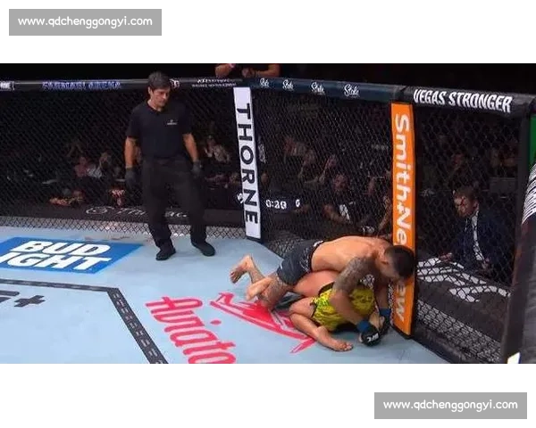 10.12 UFC 里约热内卢：卢奎主场迎敌，彭兹尼比奥能否终结连败？